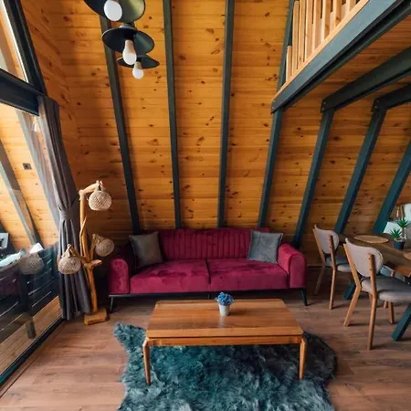 Chalet Bungalow With Private Pool And Backyard In *